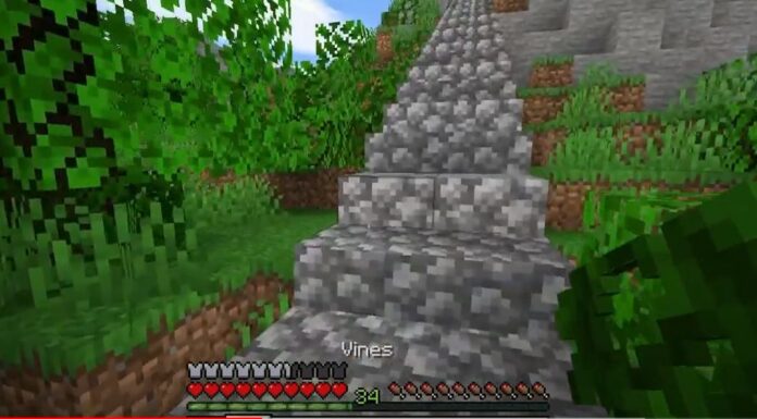 What Is Vines Minecraft, And How To Get Vines Minecraft? vines minecraft