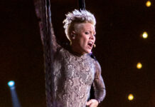 Unveiling the Rosy Fortune Career: Exploring the Phenomenal Pink Net Worth Pink's Net Worth