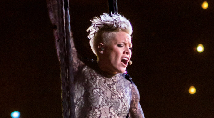 Unveiling the Rosy Fortune Career: Exploring the Phenomenal Pink Net Worth Pink's Net Worth