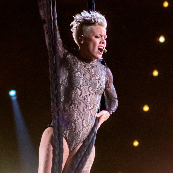 Pink's Net Worth